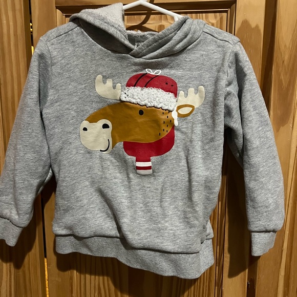 Hooded Sweatshirt - Picture 1 of 4